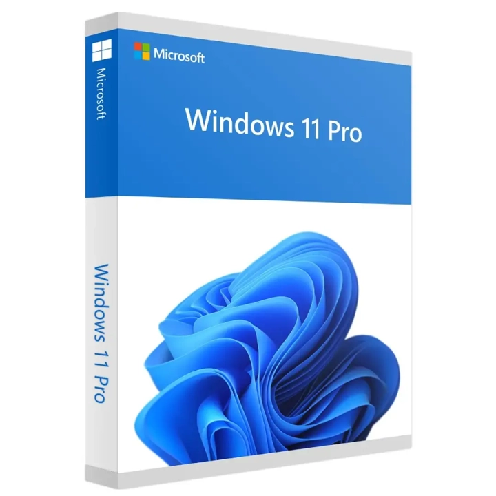 /img/products/images/windows-11-pro_VUWEgmV.webp